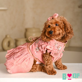 GULMARG PEARL PINK HAND EMBROIDERED DOG LEHENGA