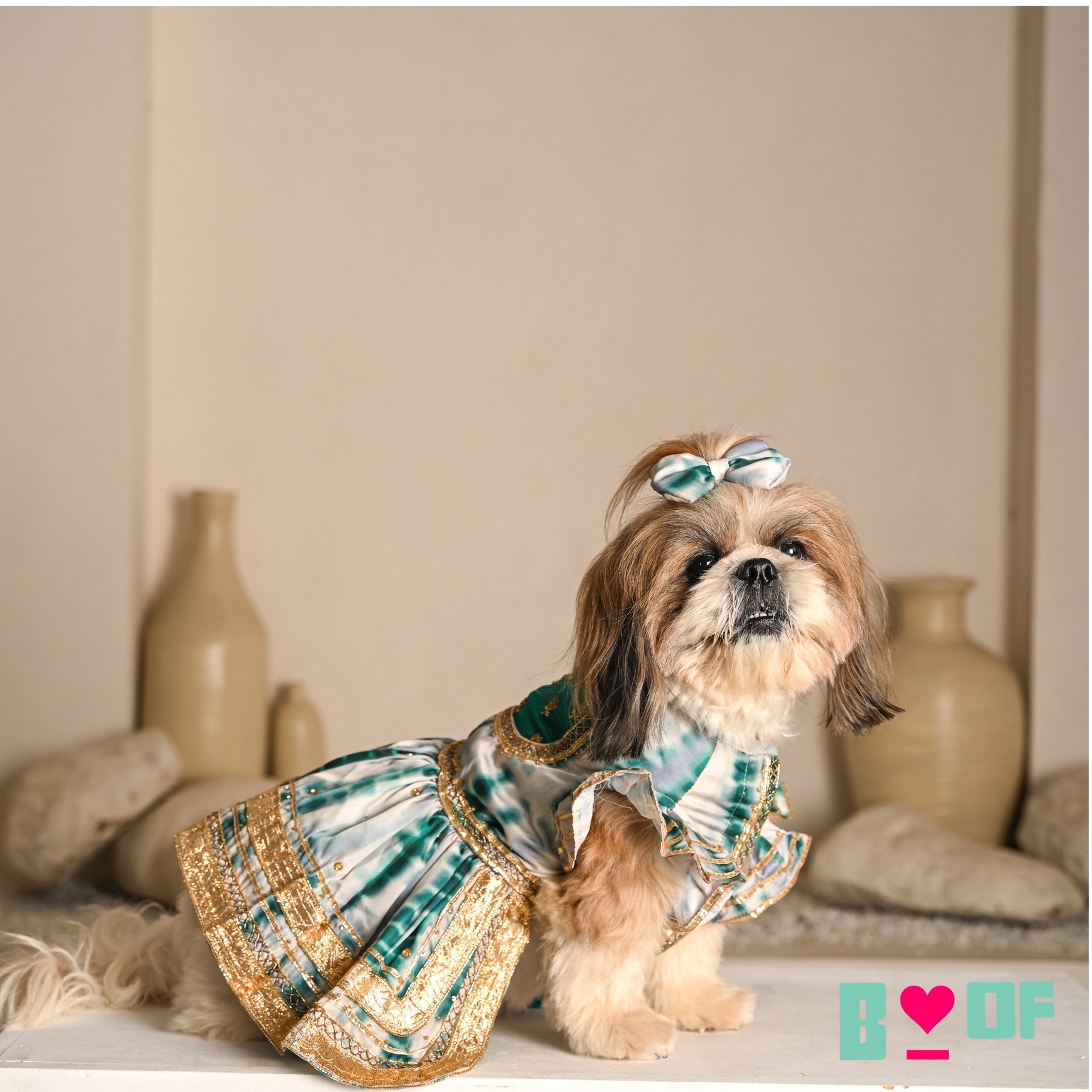 GREEN TIE & DYE BUTI EMBROIDERED ANARKALI FOR DOGS AND CATS