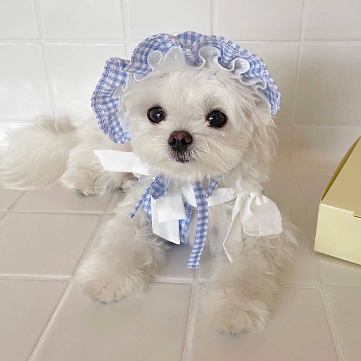 GINGHAM BOW DOG TOP