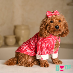 PINK COTTON IKAT PRINTED KURTA FOR DOGS AND CATS