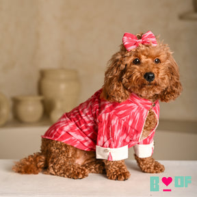 PINK COTTON IKAT PRINTED KURTA FOR DOGS AND CATS