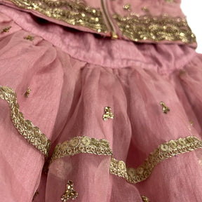 PETAL ROSE PINK HAND EMBROIDERED DOG LEHENGA