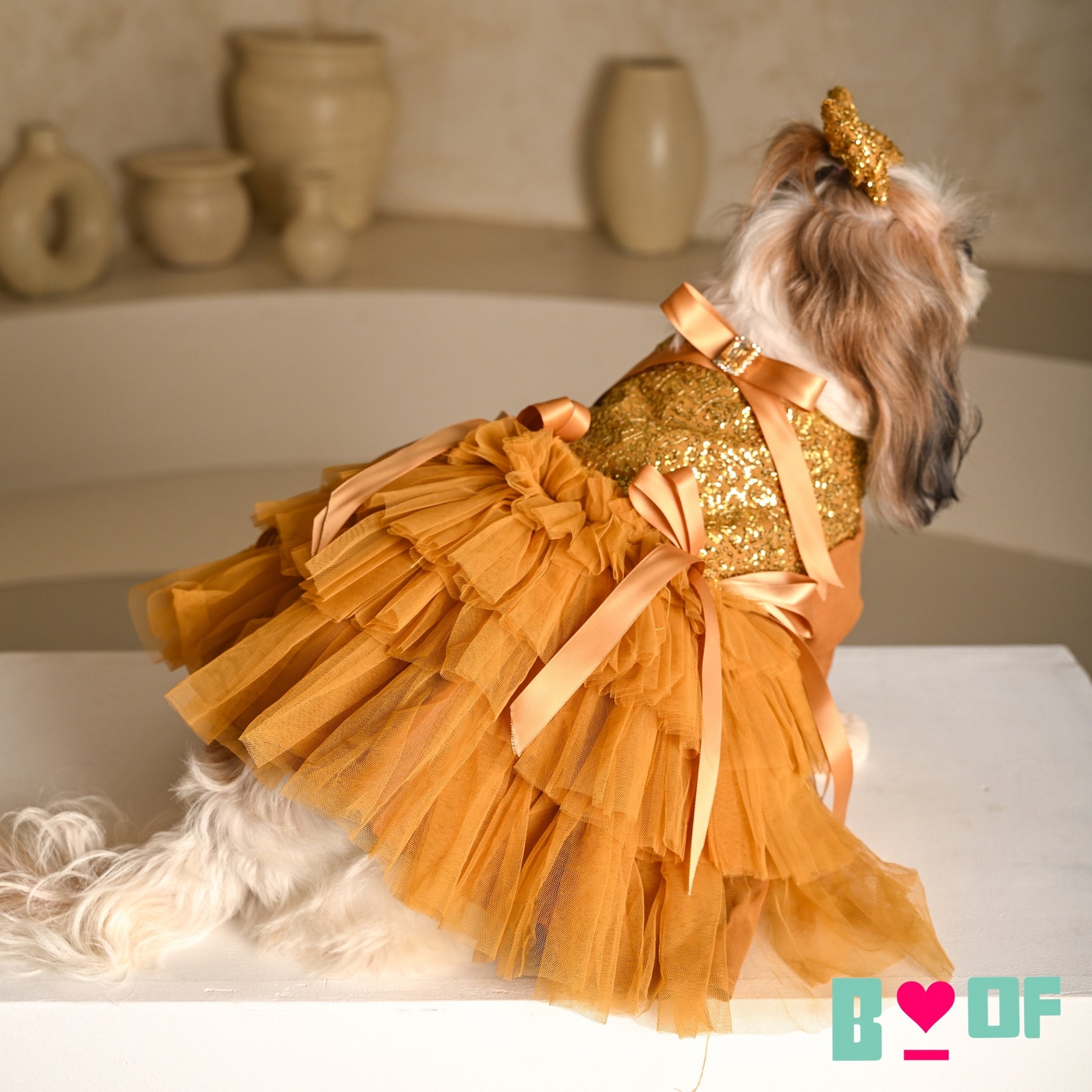 GOLD SEQUINS GEMSTONE DOG DRESS