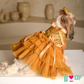 GOLD SEQUINS GEMSTONE DOG DRESS