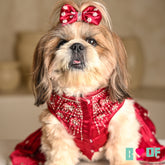 BUTTERFLY SPARKLE HAND EMBROIDERED TUTU DRESS FOR DOGS AND CATS