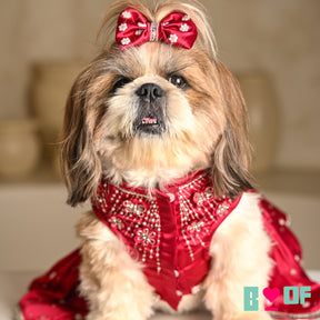 BUTTERFLY SPARKLE HAND EMBROIDERED TUTU DRESS FOR DOGS AND CATS