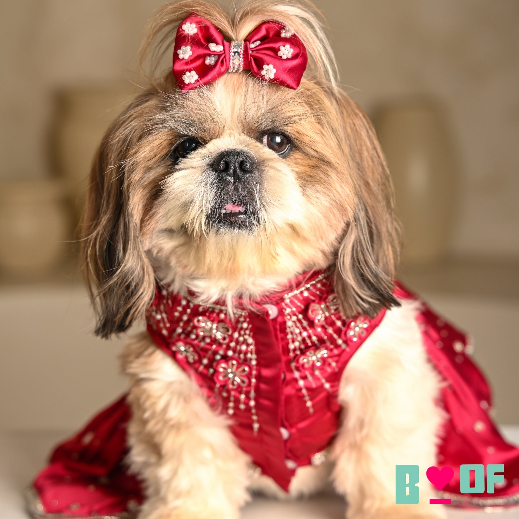 BUTTERFLY SPARKLE HAND EMBROIDERED TUTU DRESS FOR DOGS AND CATS