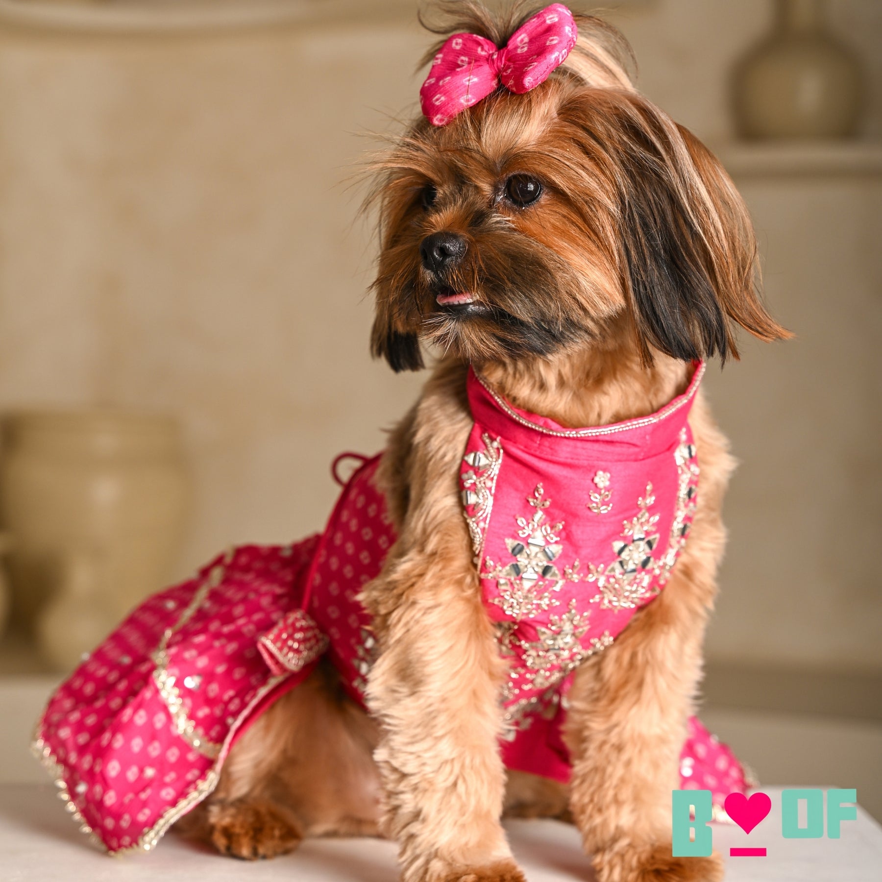 PINK BANDHANI SILVER EMBELLISHED LEHENGA FOR DOGS AND CATS