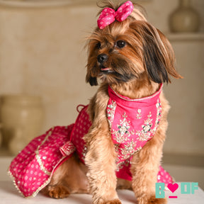 PINK BANDHANI SILVER EMBELLISHED LEHENGA FOR DOGS AND CATS