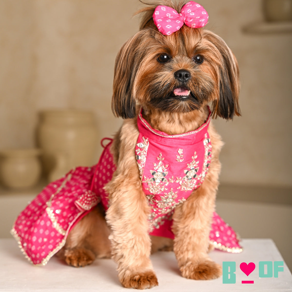 PINK BANDHANI SILVER EMBELLISHED LEHENGA FOR DOGS AND CATS