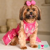 PINK BANDHANI SILVER EMBELLISHED LEHENGA FOR DOGS AND CATS