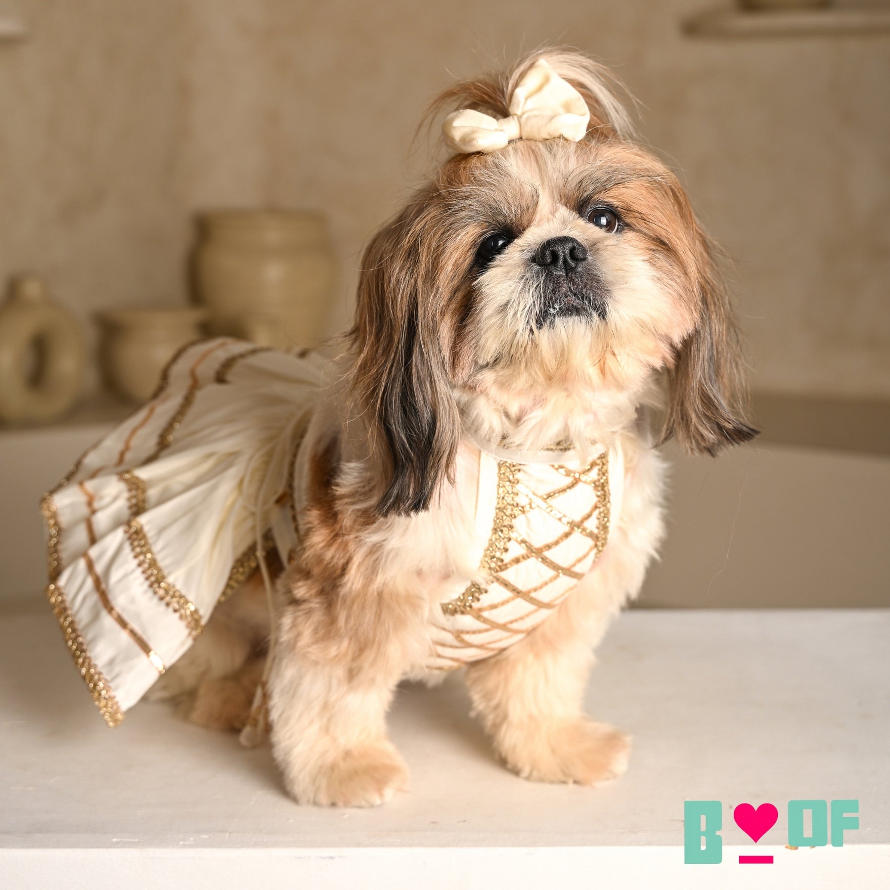 WHITE LACE DETAILED HALTER NECK LEHENGA FOR DOGS AND CATS