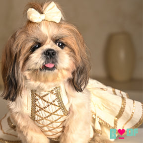 WHITE LACE DETAILED HALTER NECK LEHENGA FOR DOGS AND CATS