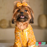 MUSTARD YELLOW PATIALA MOTIF DOG KURTA