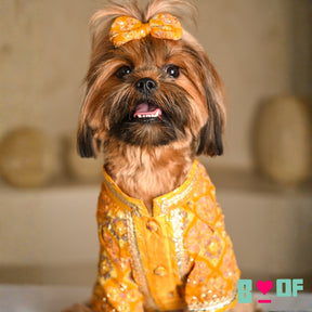 MUSTARD YELLOW PATIALA MOTIF DOG KURTA