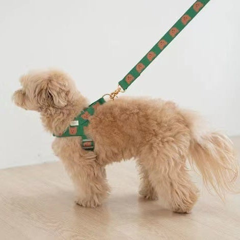 TEDDY HARNESS + LEASH