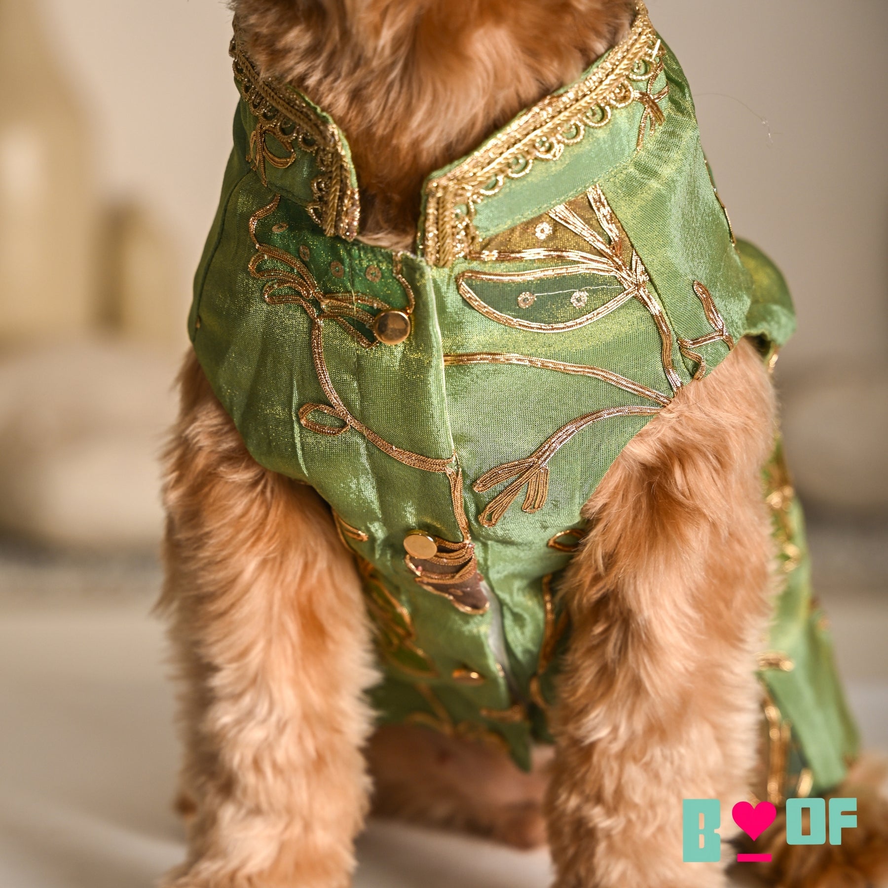 PISTA GREEN GOTA PHOOL WAISTCOAT FOR DOGS AND CATS PISTA GREEN GOTA PHOOL WAISTCOAT FOR DOGS AND CATS