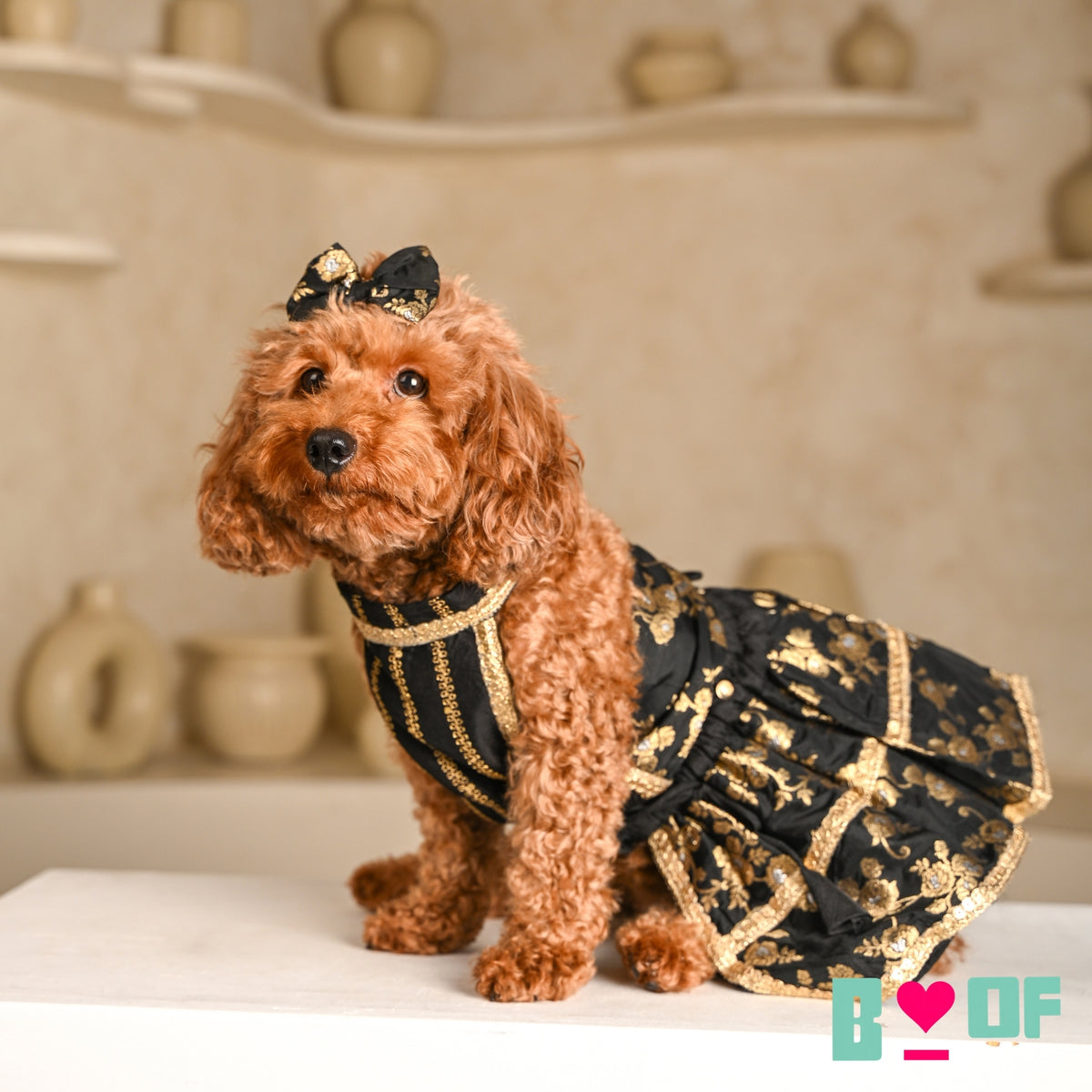 BLACK GOLD BROCADE LEHENGA FOR DOGS AND CATS