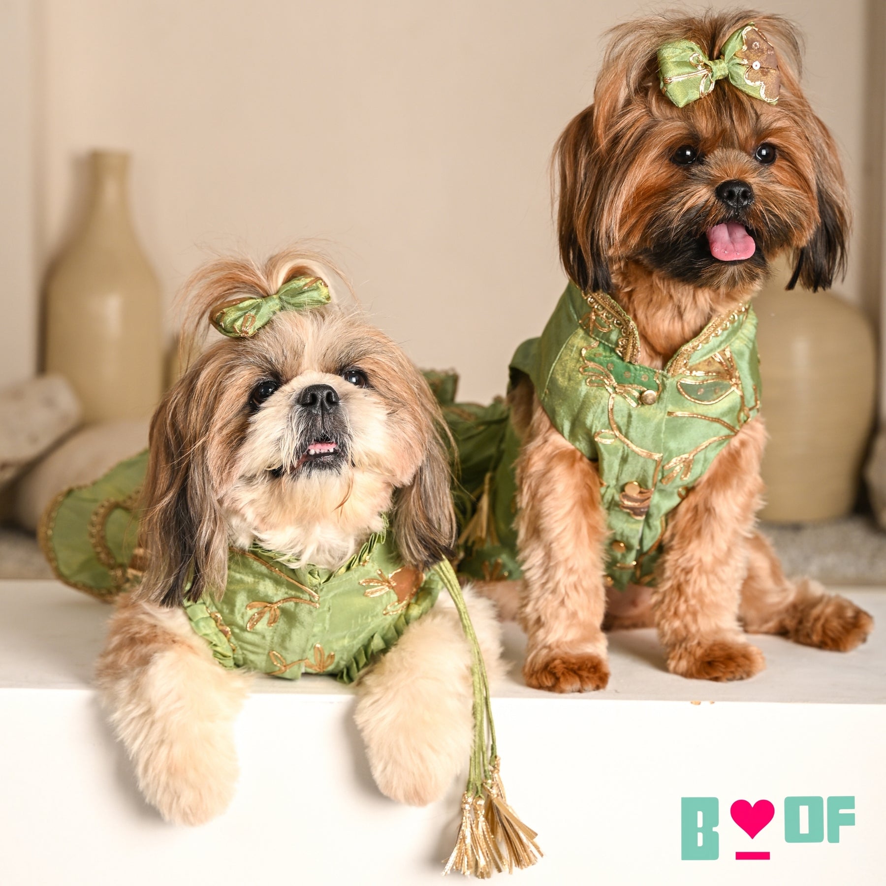 PISTA GREEN GOTA PHOOL WAISTCOAT FOR DOGS AND CATS