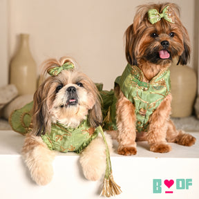 PISTA GREEN GOTA PHOOL WAISTCOAT FOR DOGS AND CATS