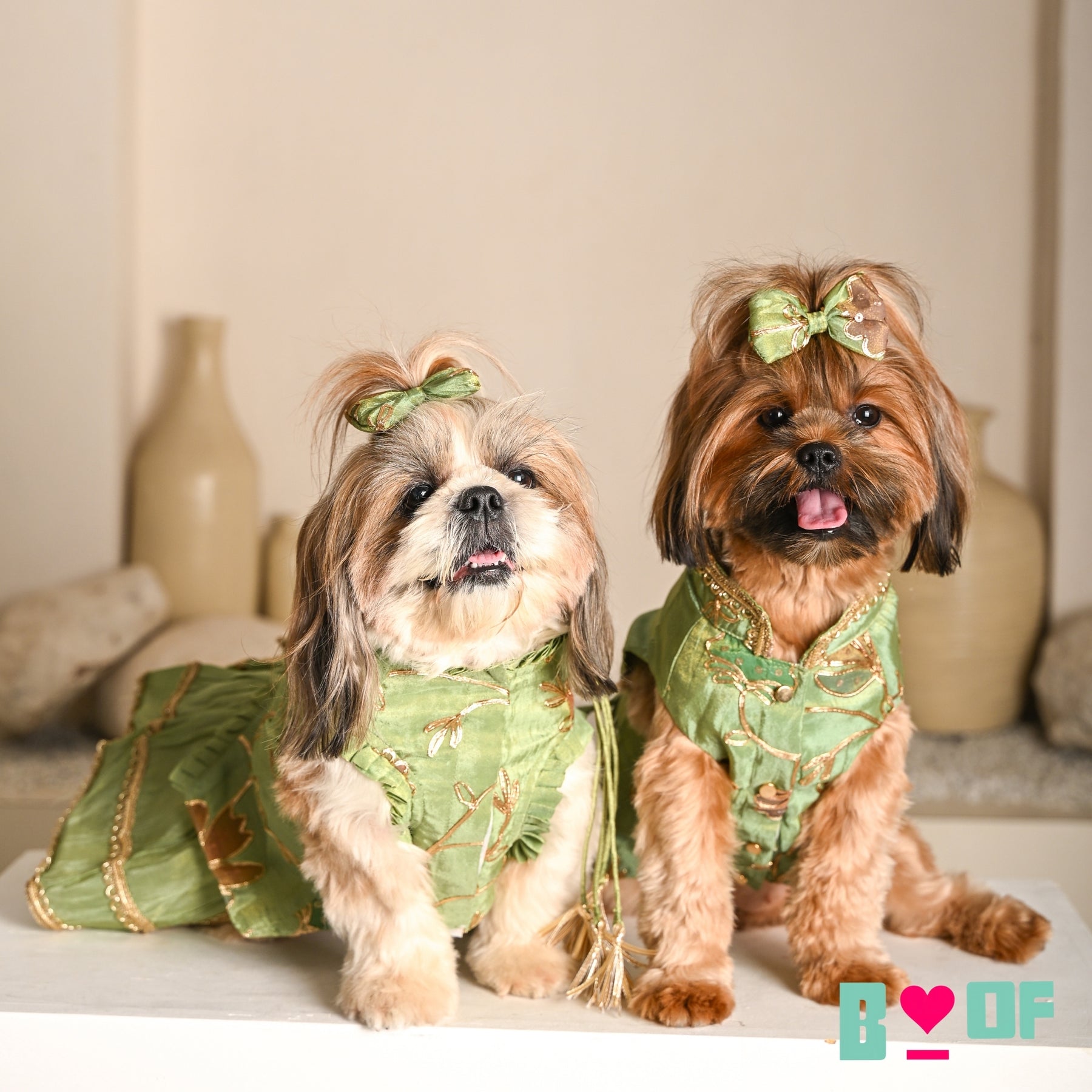 PISTA GREEN GOTA PHOOL WAISTCOAT FOR DOGS AND CATS