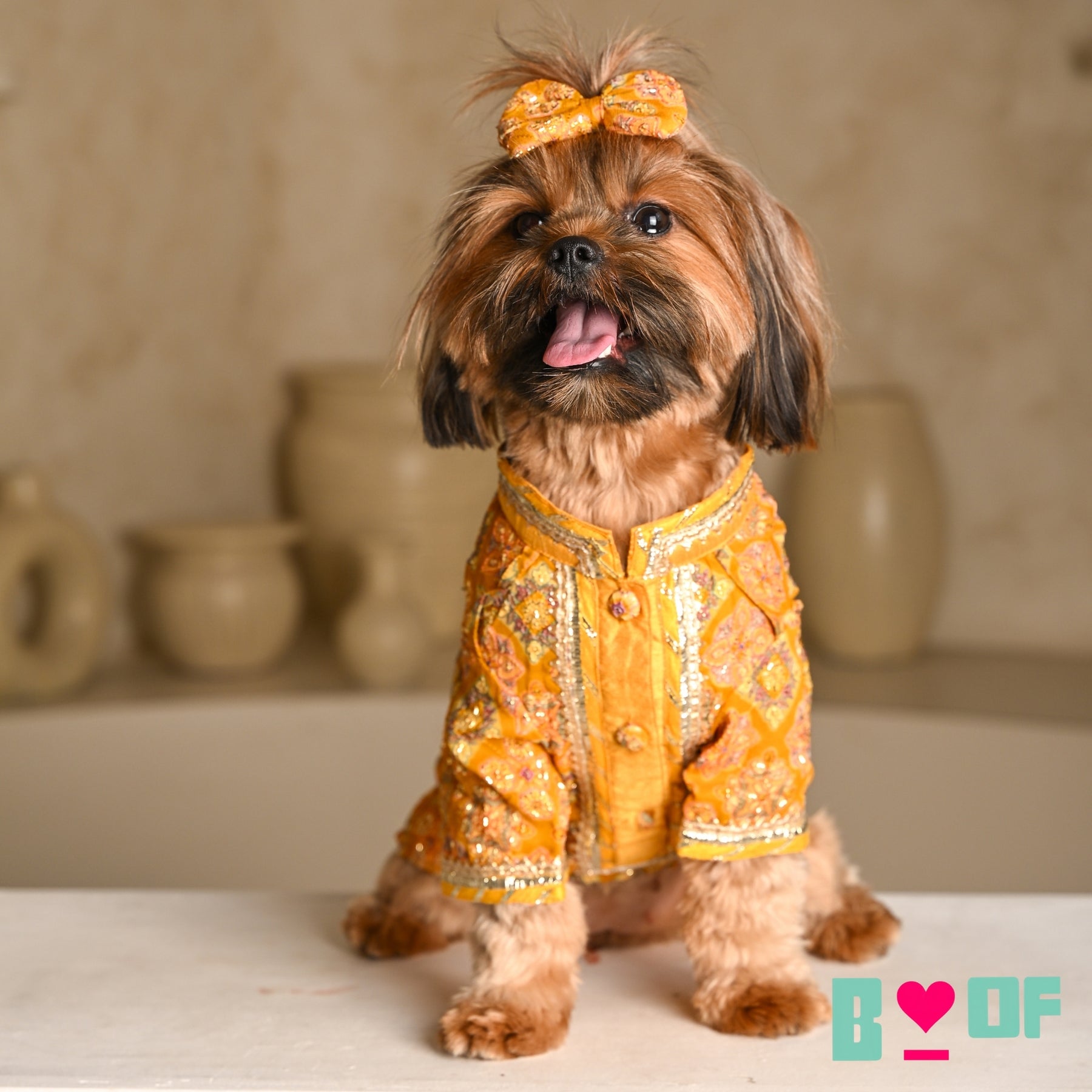MUSTARD YELLOW PATIALA MOTIF DOG KURTA