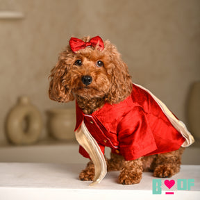 RED PURE RAW SILK DOG KURTA