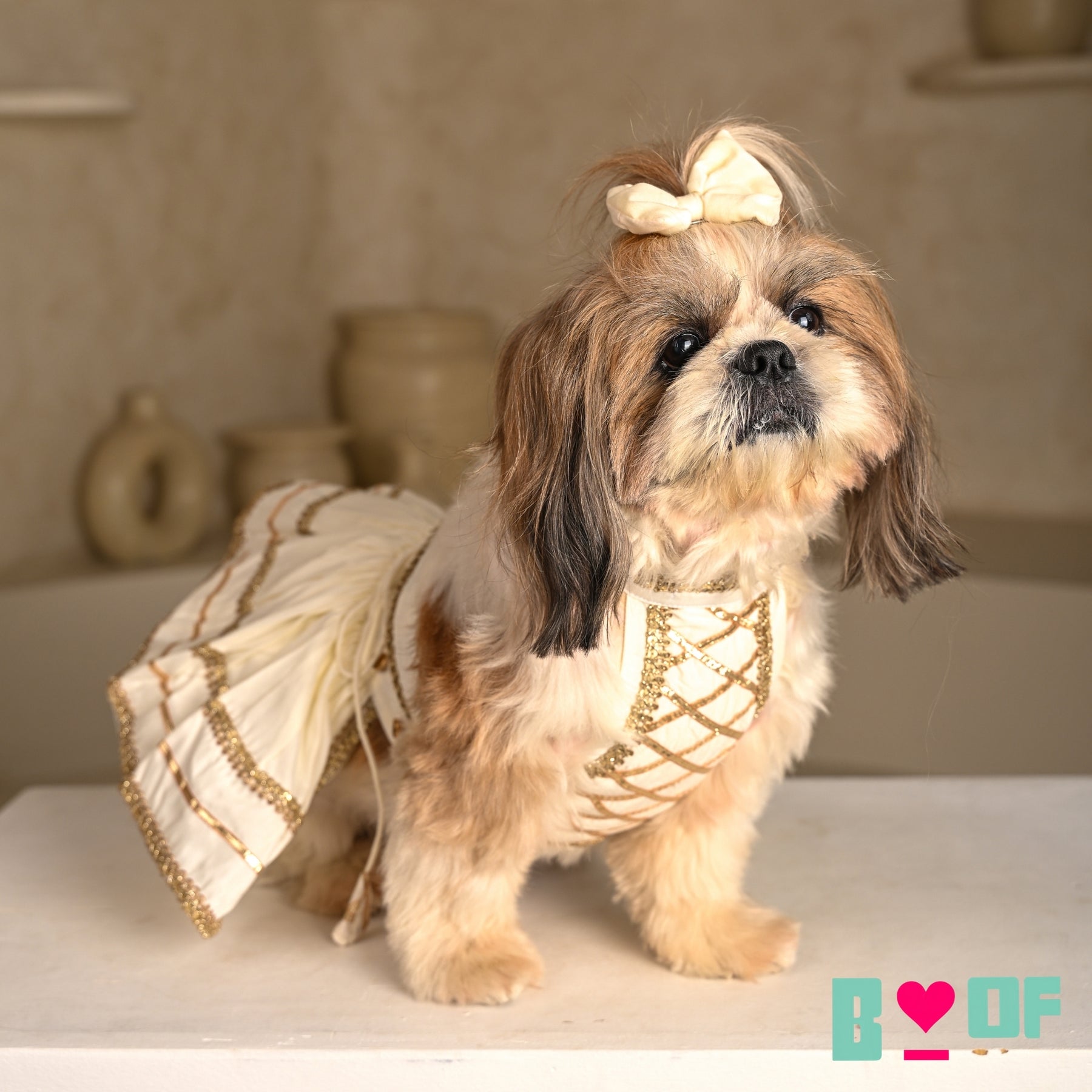 WHITE LACE DETAILED HALTER NECK LEHENGA FOR DOGS AND CATS