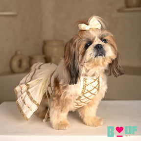 WHITE LACE DETAILED HALTER NECK LEHENGA FOR DOGS AND CATS