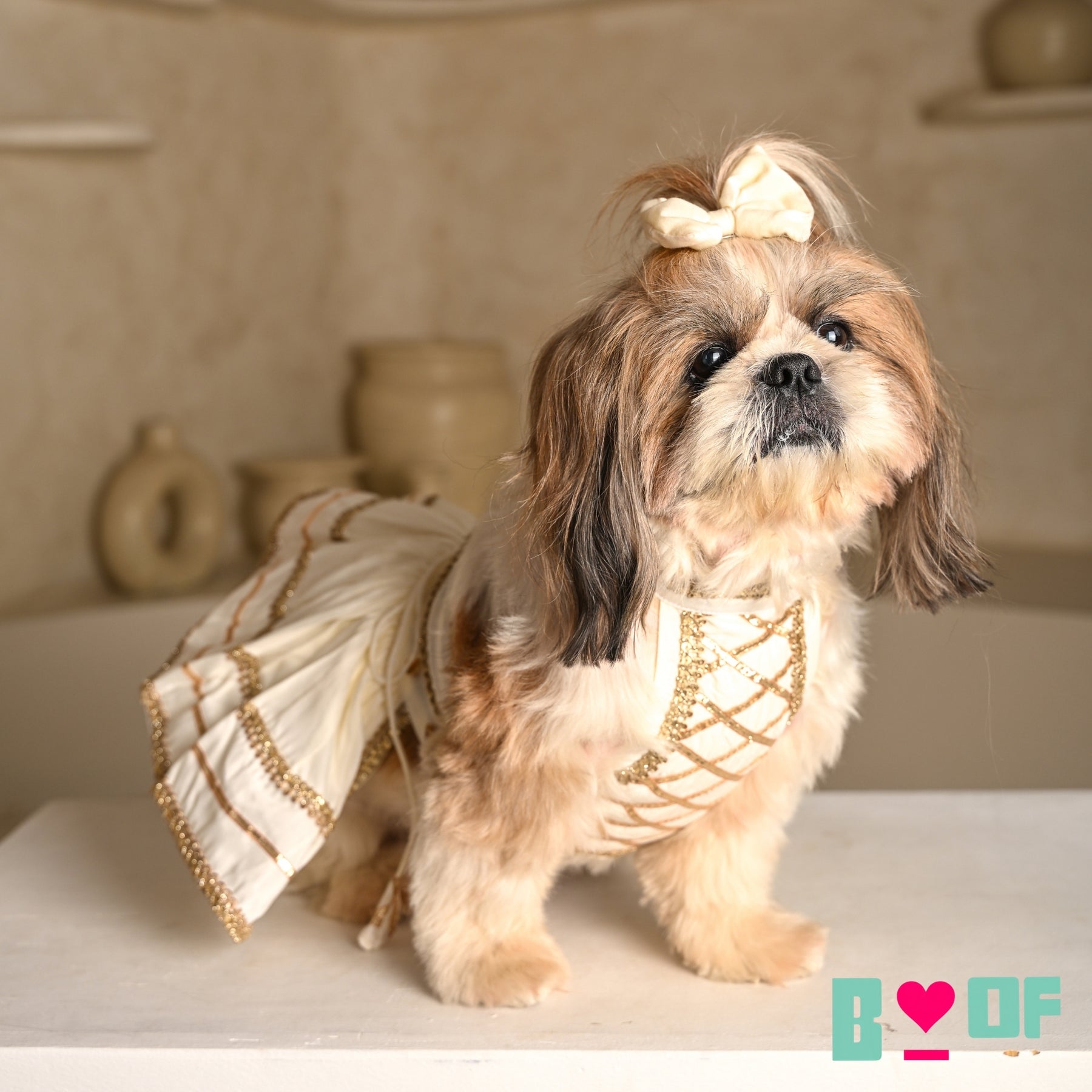 WHITE LACE DETAILED HALTER NECK LEHENGA FOR DOGS AND CATS