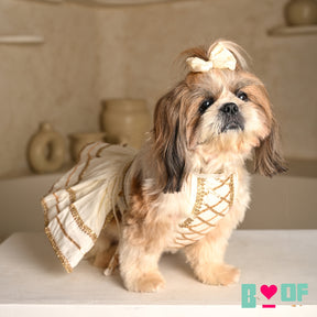 WHITE LACE DETAILED HALTER NECK LEHENGA FOR DOGS AND CATS