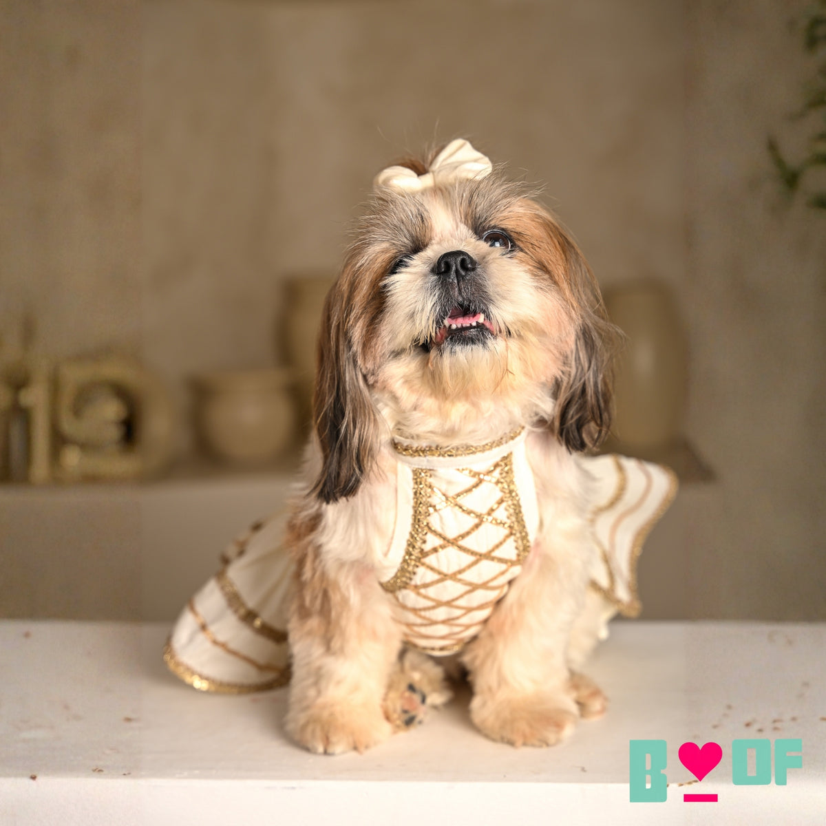 WHITE LACE DETAILED HALTER NECK LEHENGA FOR DOGS AND CATS