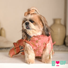 CORAL GOTA PHOOL ASYMMETRICAL LEHENGA FOR DOGS AND CATS