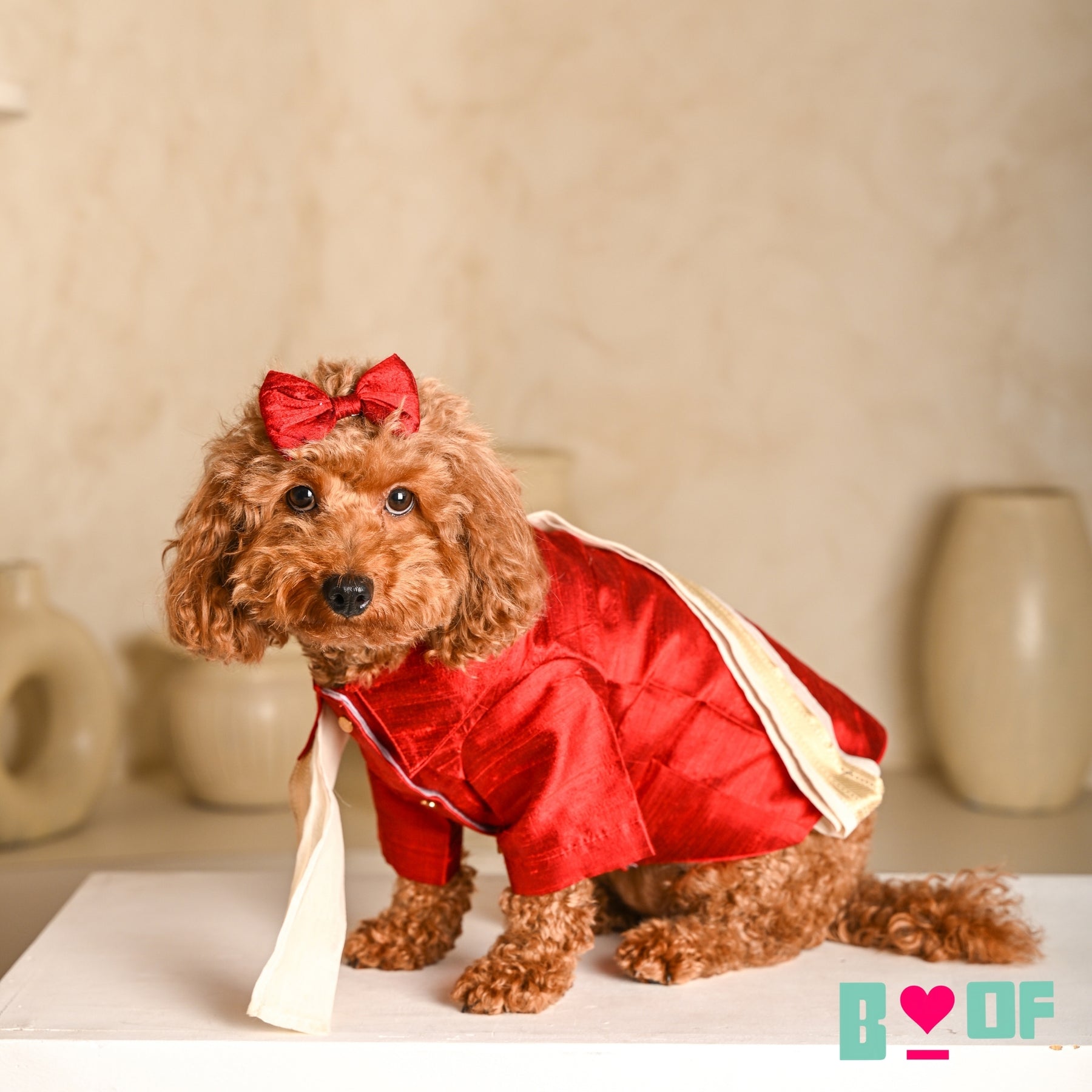 RED PURE RAW SILK DOG KURTA