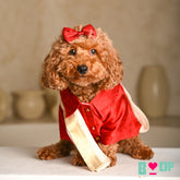 RED PURE RAW SILK DOG KURTA