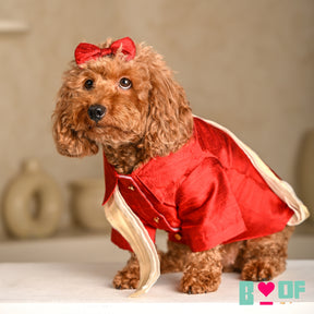 RED PURE RAW SILK DOG KURTA