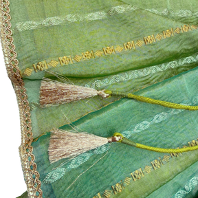 GREEN ZARI TISSUE ANARKALI HAND EMBROIDERED FOR DOGS AND CATS