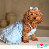 BABY BLUE CINDERELLA'S DAY DRESS FOR DOGS AND CATS