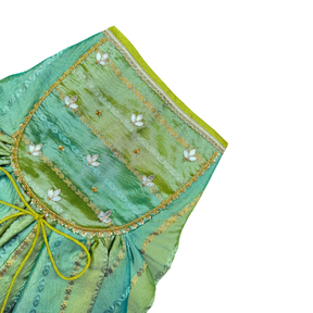 GREEN ZARI TISSUE ANARKALI HAND EMBROIDERED FOR DOGS AND CATS