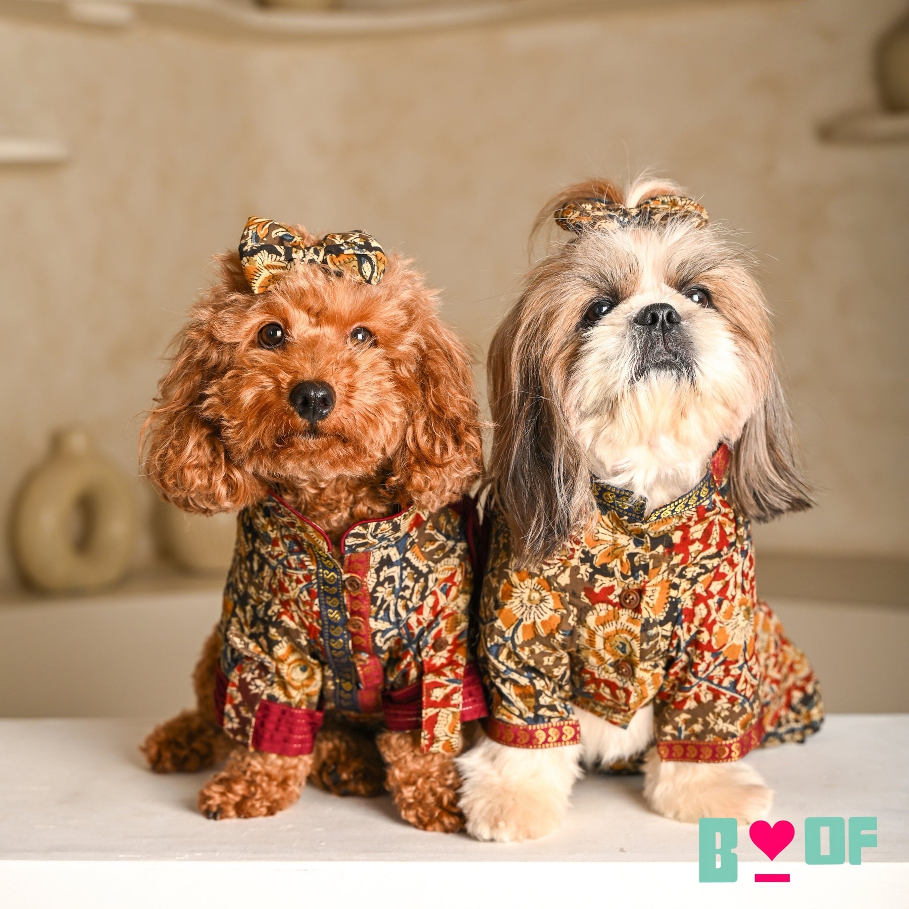 KALAMKARI FLORAL PRINTED ANGRAKHA ANARKALI FOR DOGS AND CATS