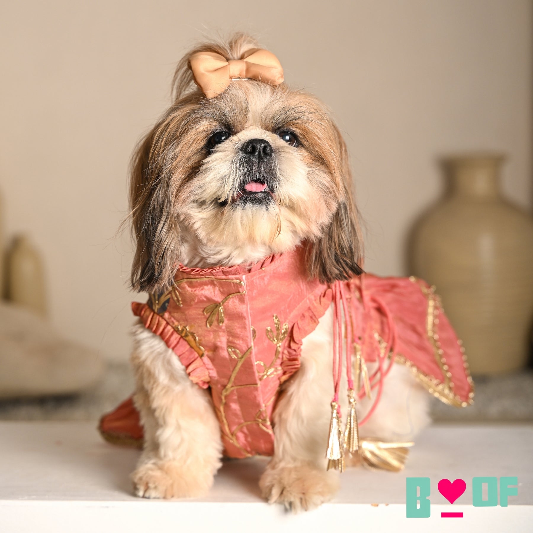 CORAL GOTA PHOOL ASYMMETRICAL LEHENGA FOR DOGS AND CATS