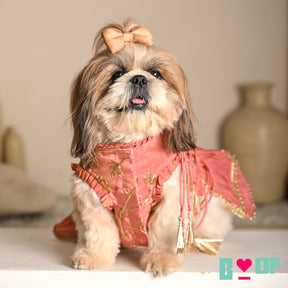 CORAL GOTA PHOOL ASYMMETRICAL LEHENGA FOR DOGS AND CATS