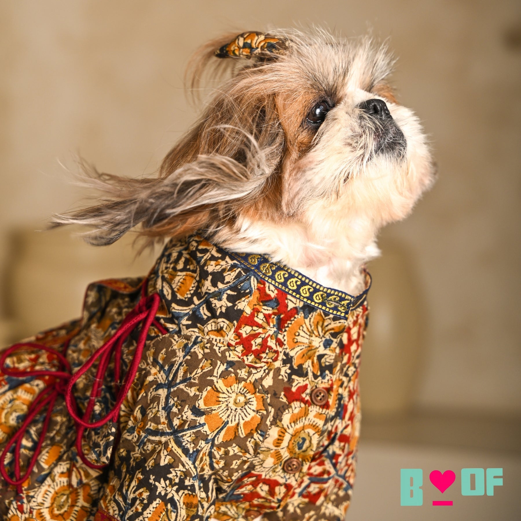 KALAMKARI FLORAL PRINTED ANGRAKHA ANARKALI FOR DOGS AND CATS
