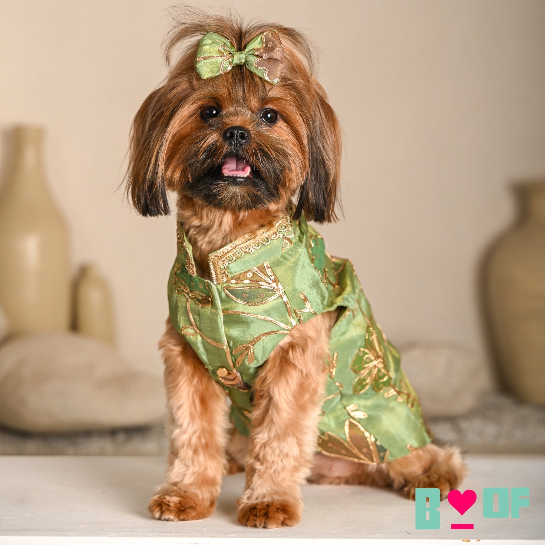 PISTA GREEN GOTA PHOOL WAISTCOAT FOR DOGS AND CATS