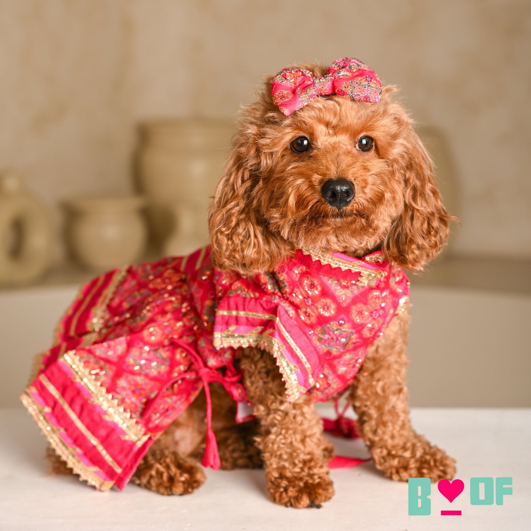 MAGENTA PINK PATIALA MOTIF DOG LEHENGA