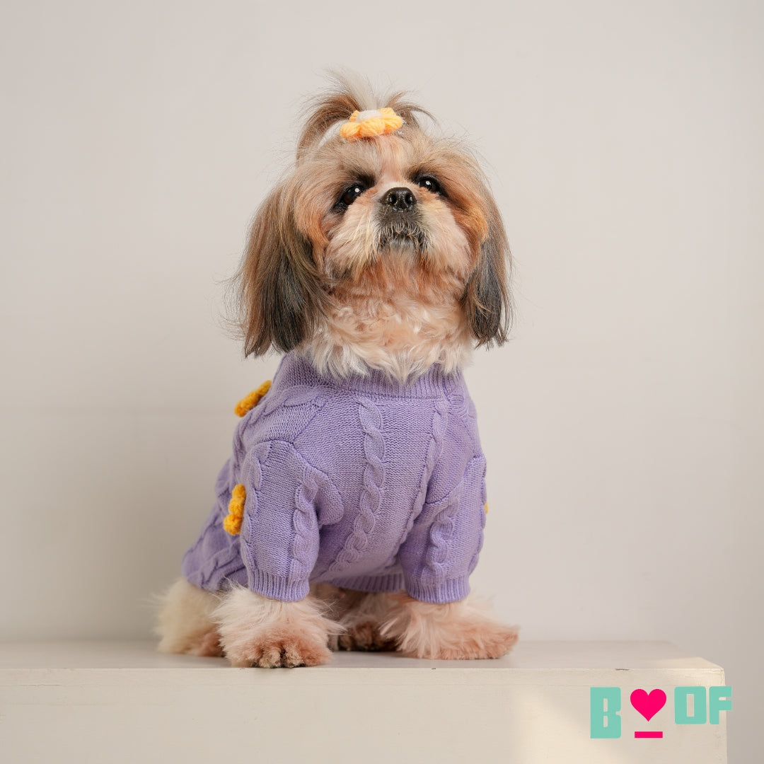 best dog sweaters for small breeds
