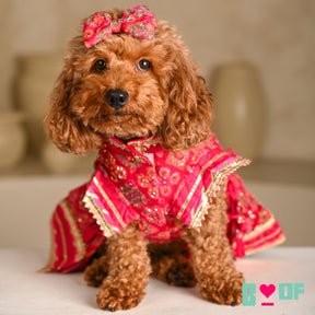 MAGENTA PINK PATIALA MOTIF DOG LEHENGA