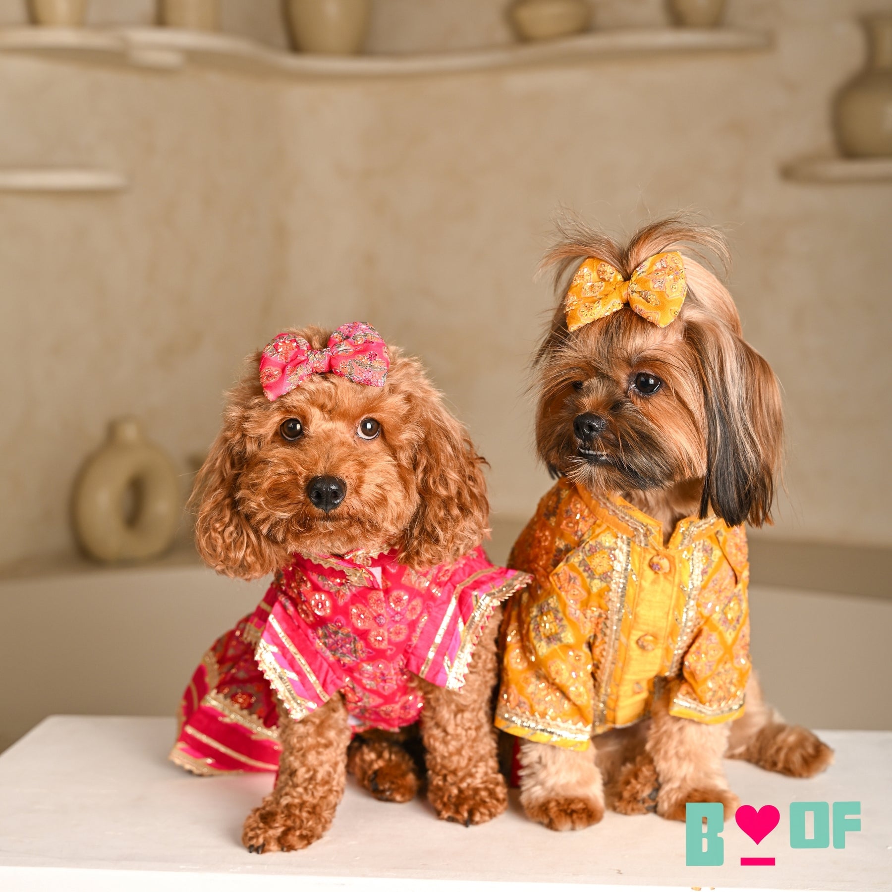 MAGENTA PINK PATIALA MOTIF DOG LEHENGA