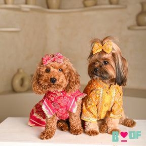 MAGENTA PINK PATIALA MOTIF DOG LEHENGA