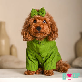GREEN JAMDANI HANDWOVEN KURTA FOR DOGS AND CATS